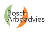 Bosch Arbo color (2)